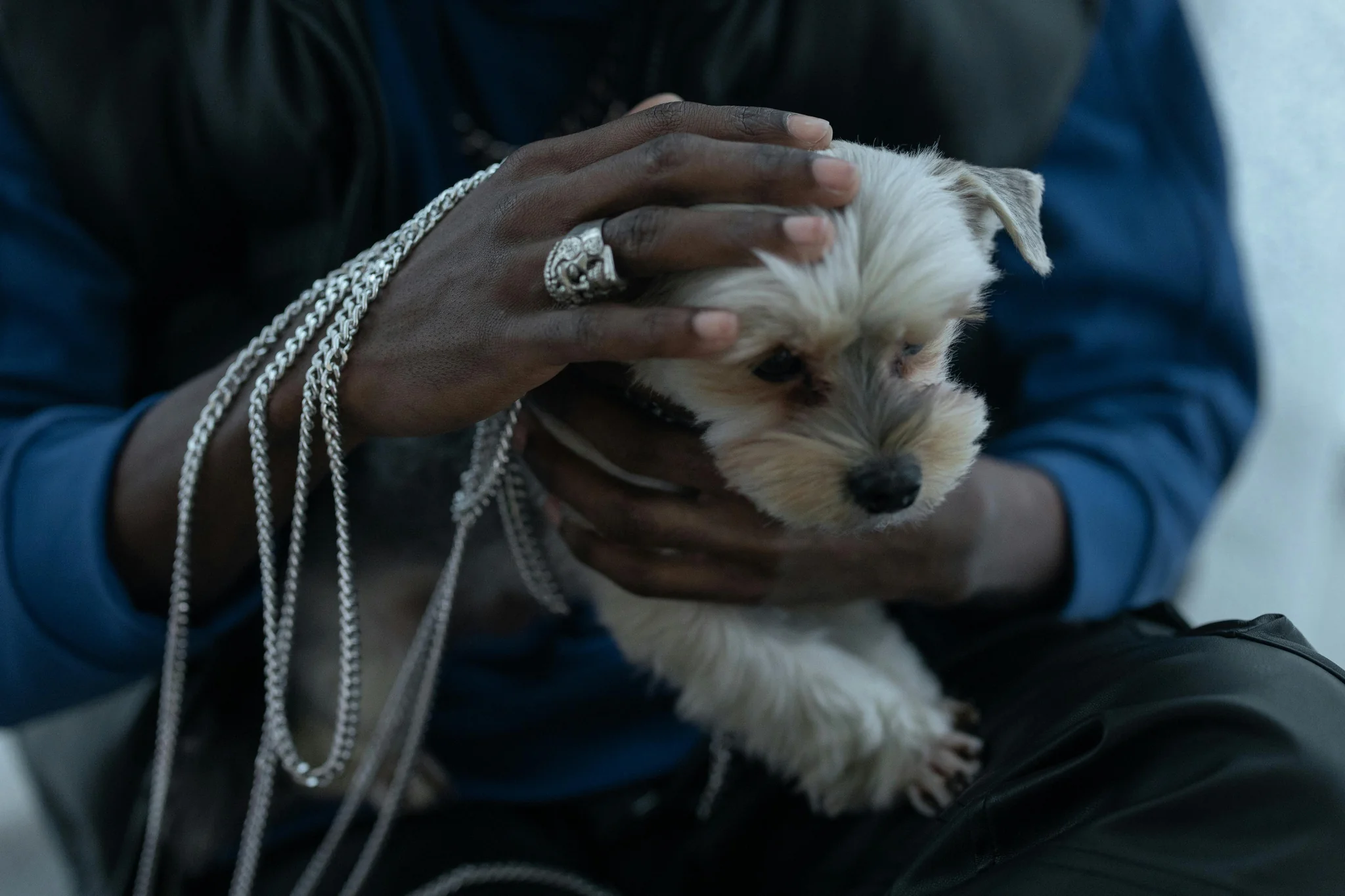 Customer loyalty rewards